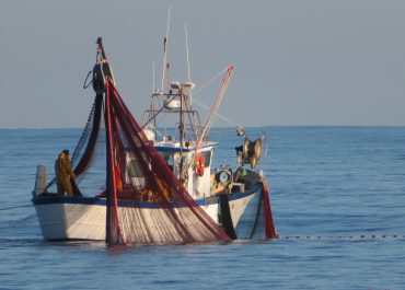Le bateau de Grégory en pleine mer