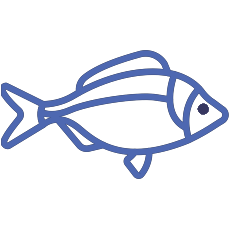 icone poisson