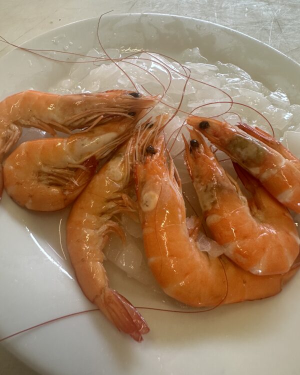 Crevettes 40/60