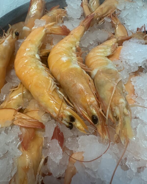 Crevettes 20/30