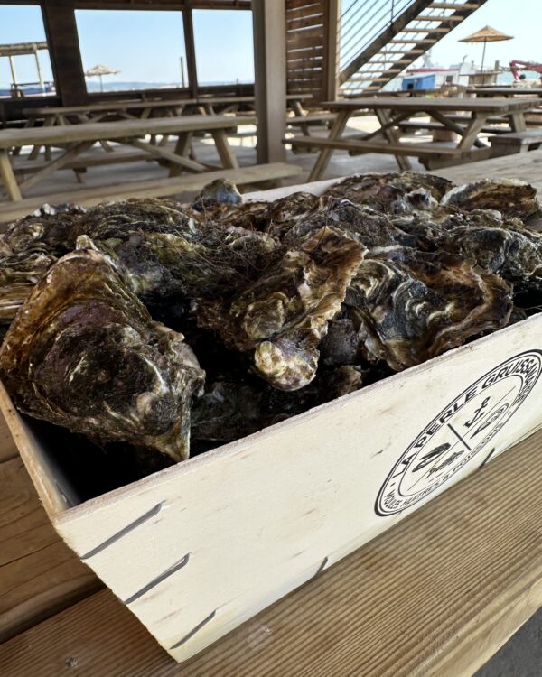 Bourriche 10 kg